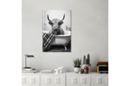 Highland Cow Wall Art