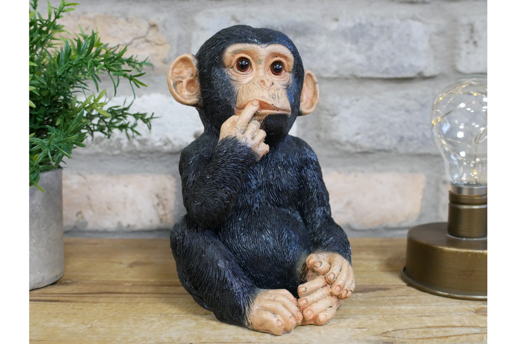 Small Monkey