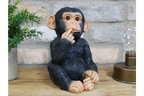Small Monkey