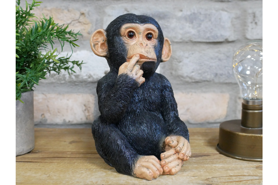 Small Monkey
