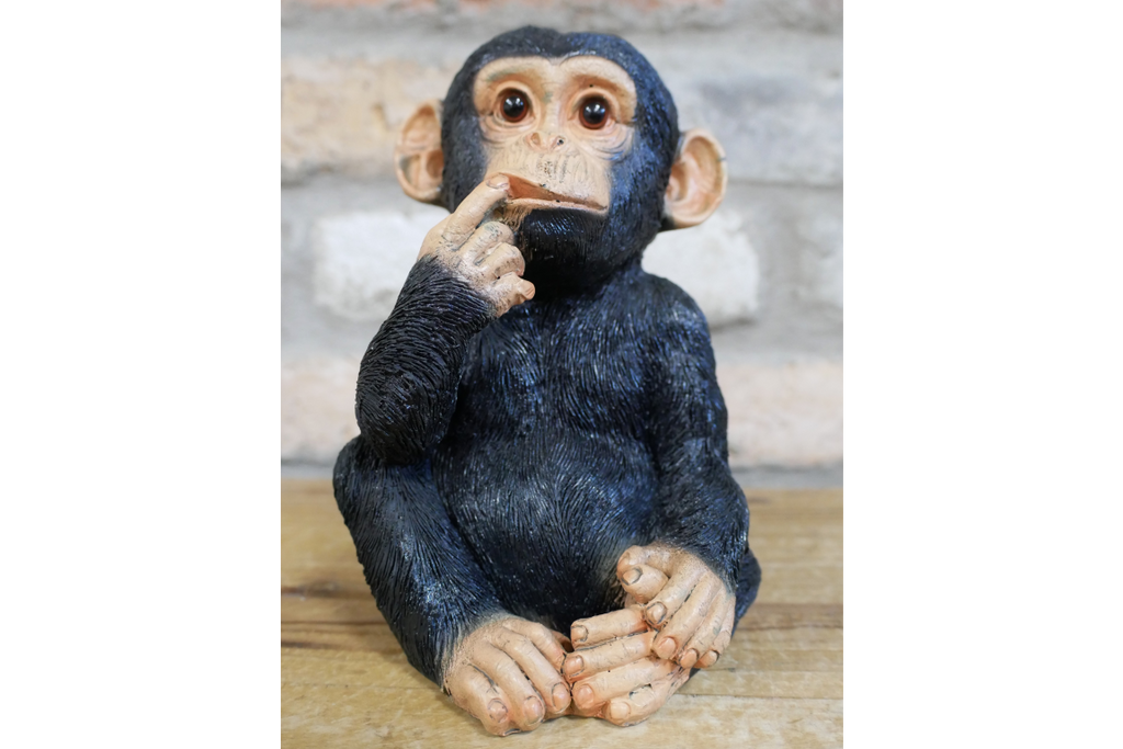 Small Monkey