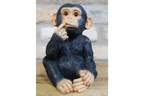 Small Monkey
