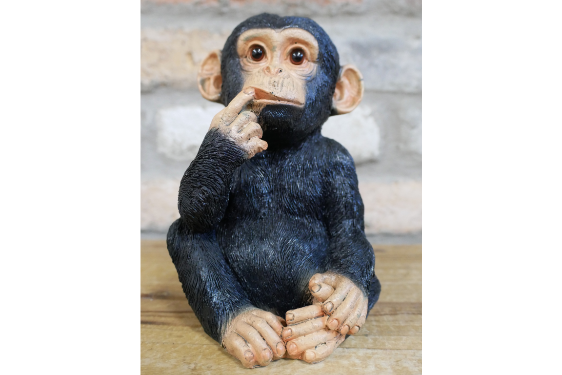 Small Monkey