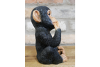 Small Monkey