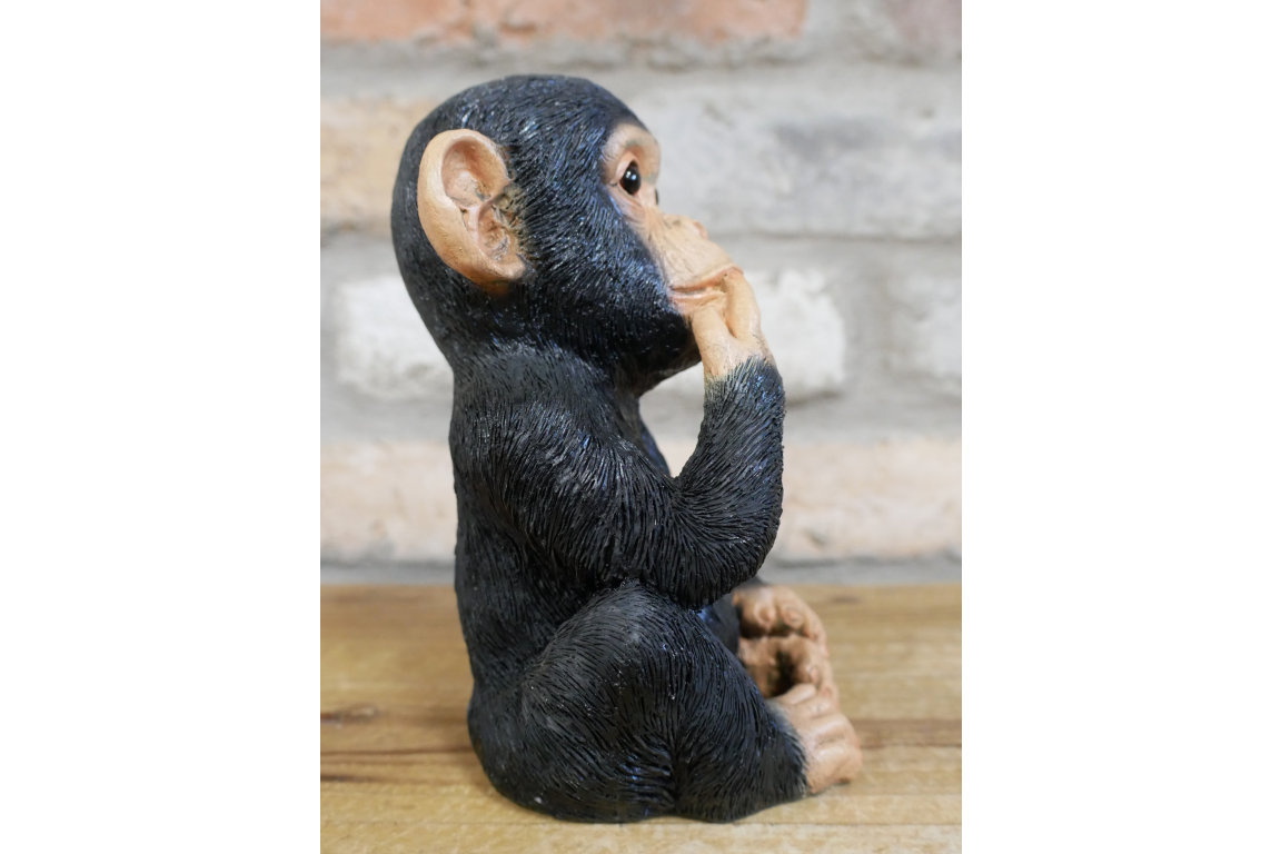Small Monkey