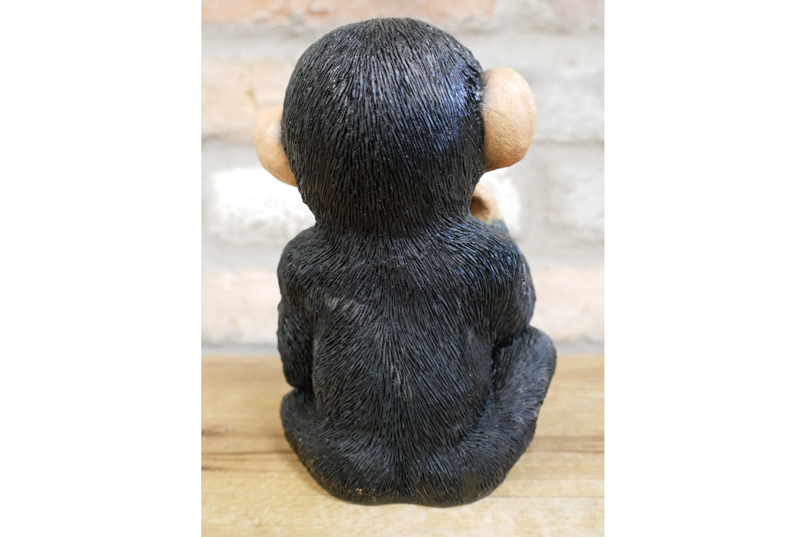 Small Monkey