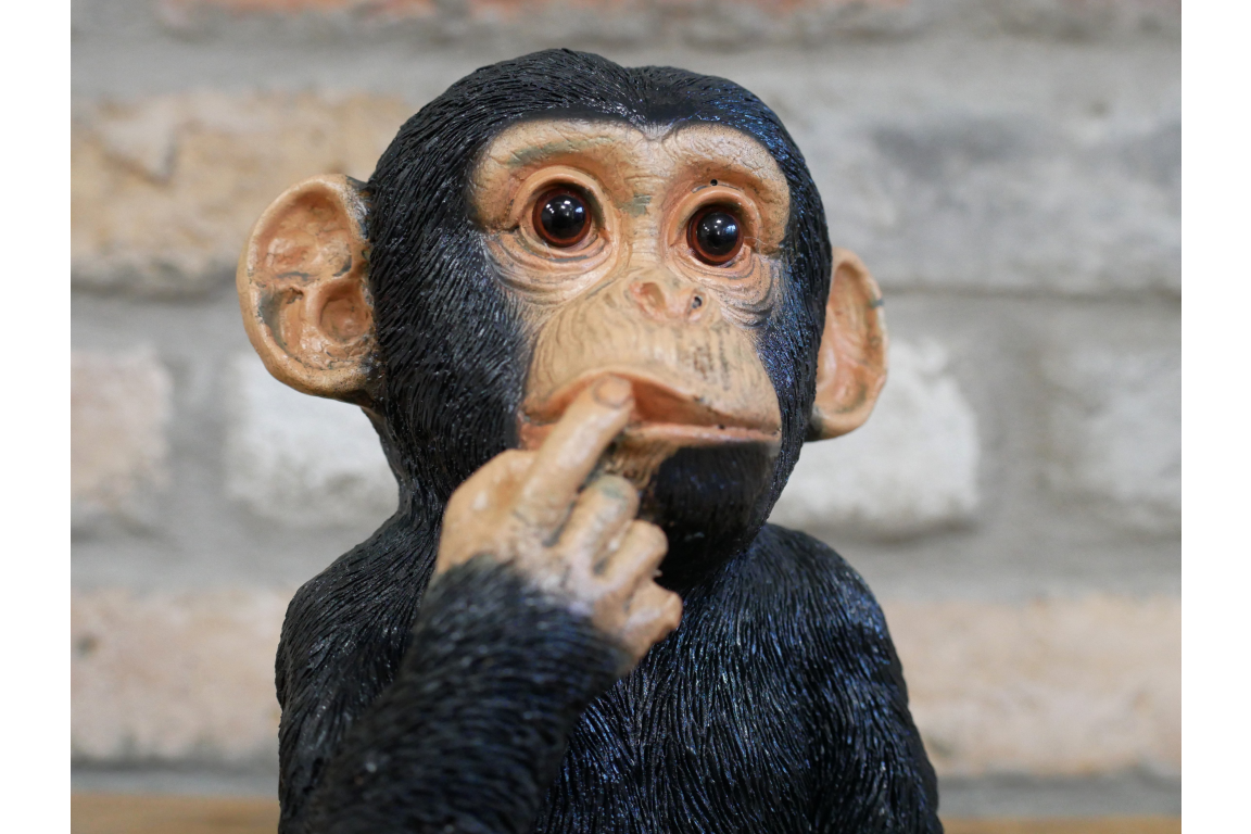 Small Monkey