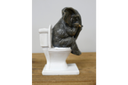 Elephant on the Loo