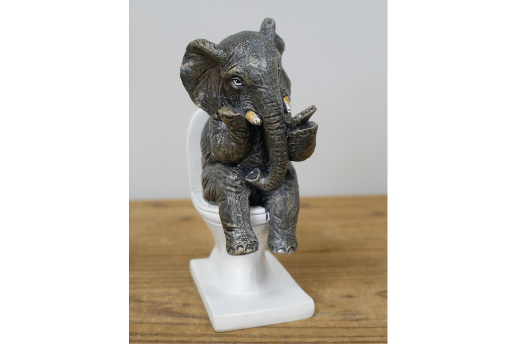 Elephant on the Loo