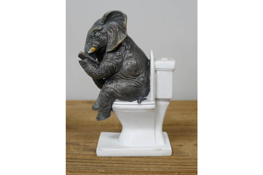 Elephant on the Loo