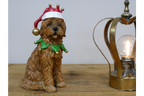 Christmas Dog