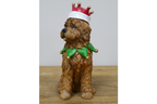 Christmas Dog