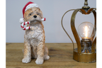 Candy Cane Dog