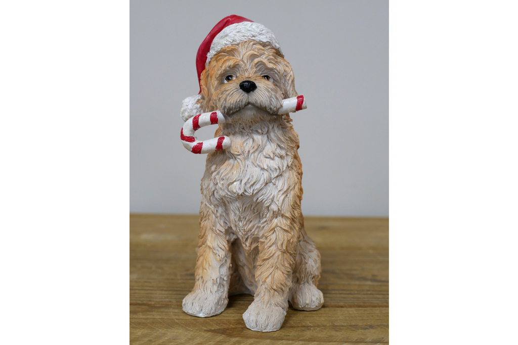 Candy Cane Dog