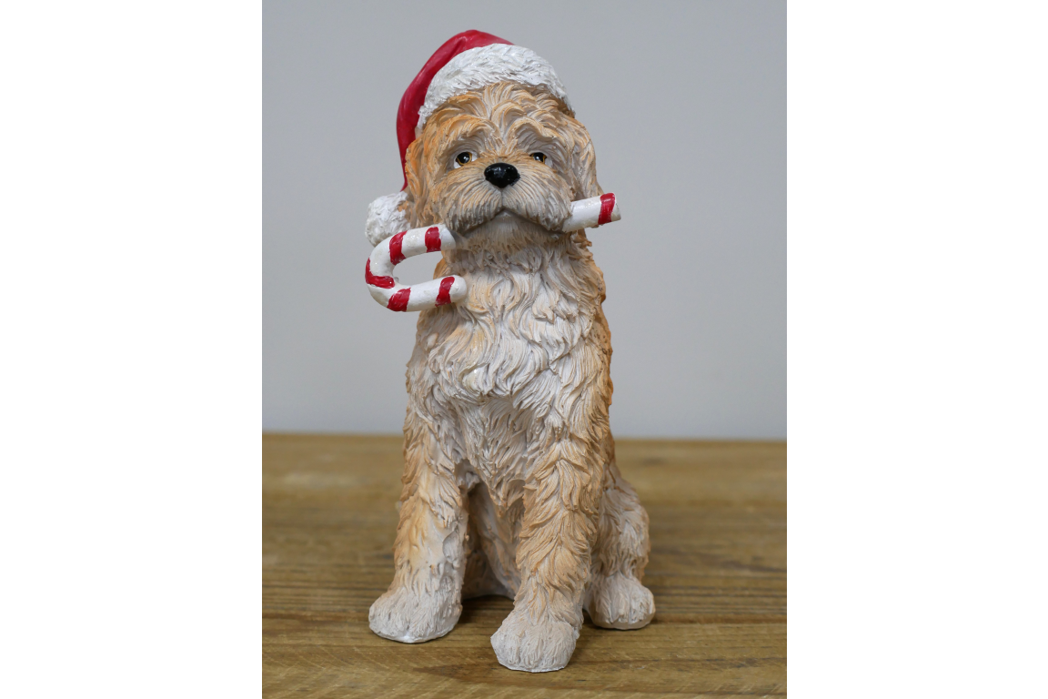Candy Cane Dog