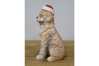 Candy Cane Dog