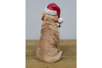 Candy Cane Dog