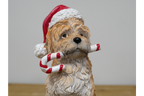 Candy Cane Dog