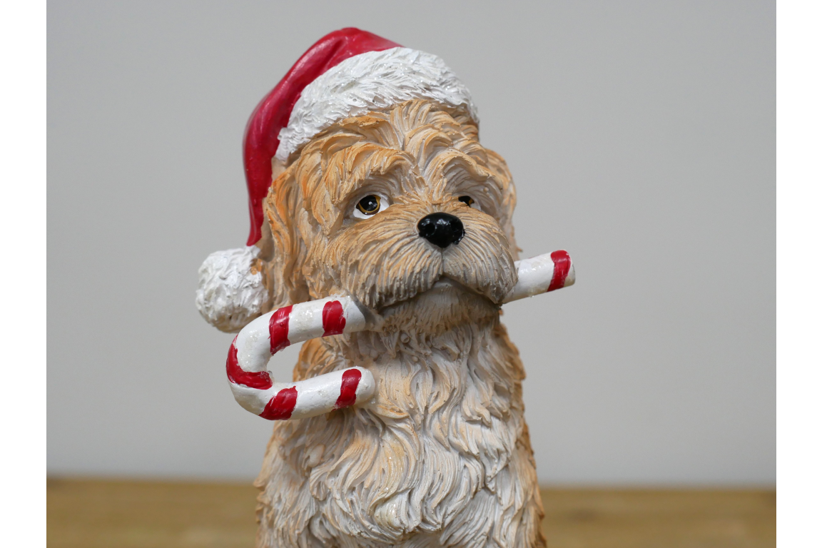 Candy Cane Dog