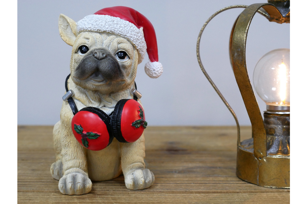 Dog with Headphones