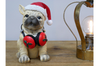 Dog with Headphones