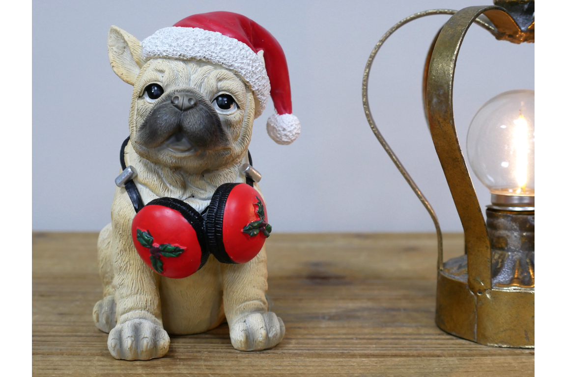 Dog with Headphones