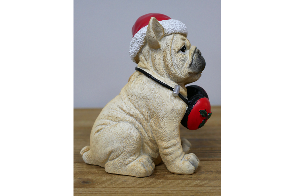 Dog with Headphones