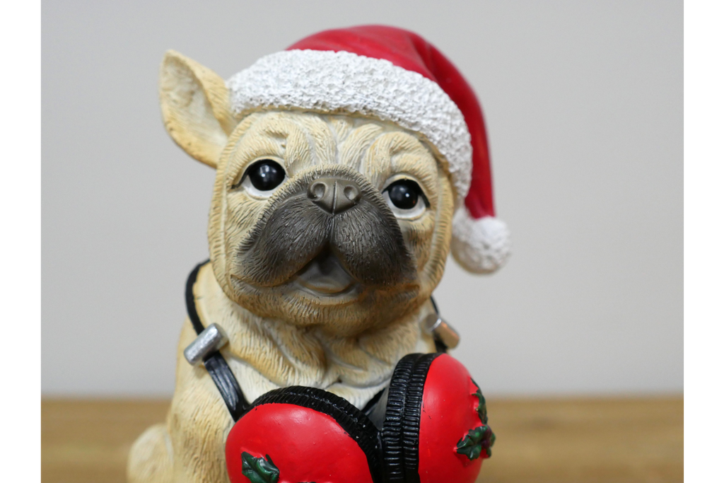 Dog with Headphones