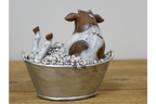 Cow in the Bath