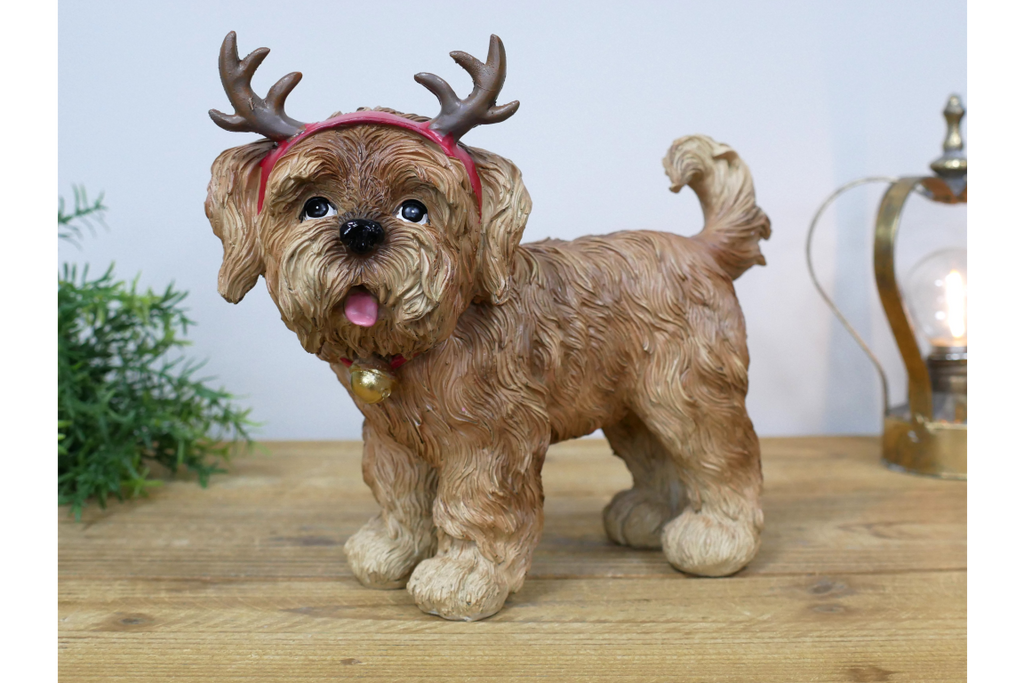 Dog with Antlers