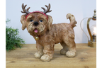Dog with Antlers