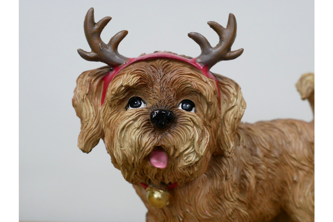 Dog with Antlers