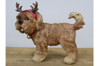Dog with Antlers