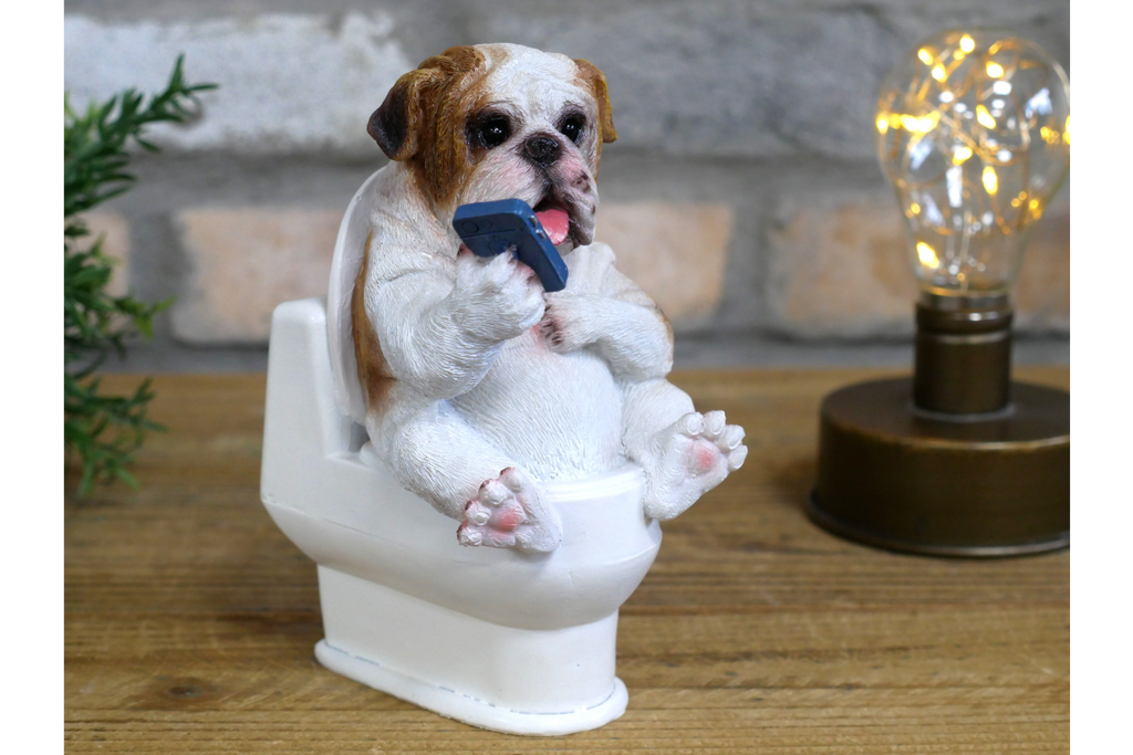 Bulldog on the Loo
