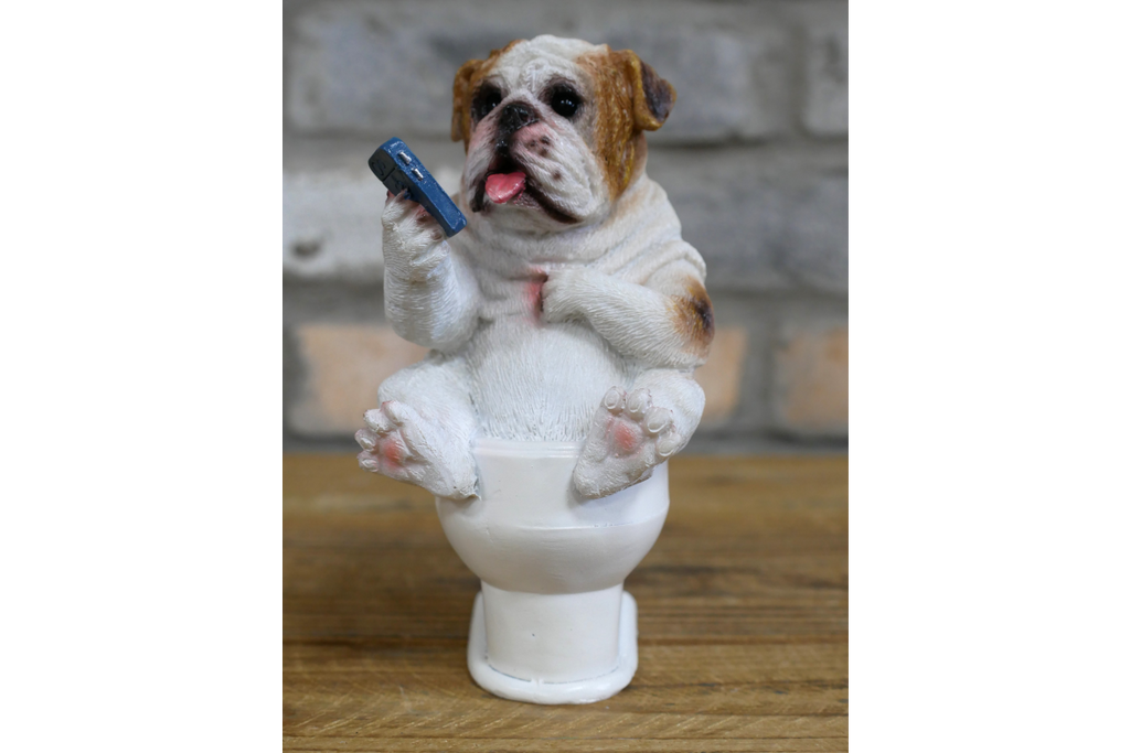 Bulldog on the Loo