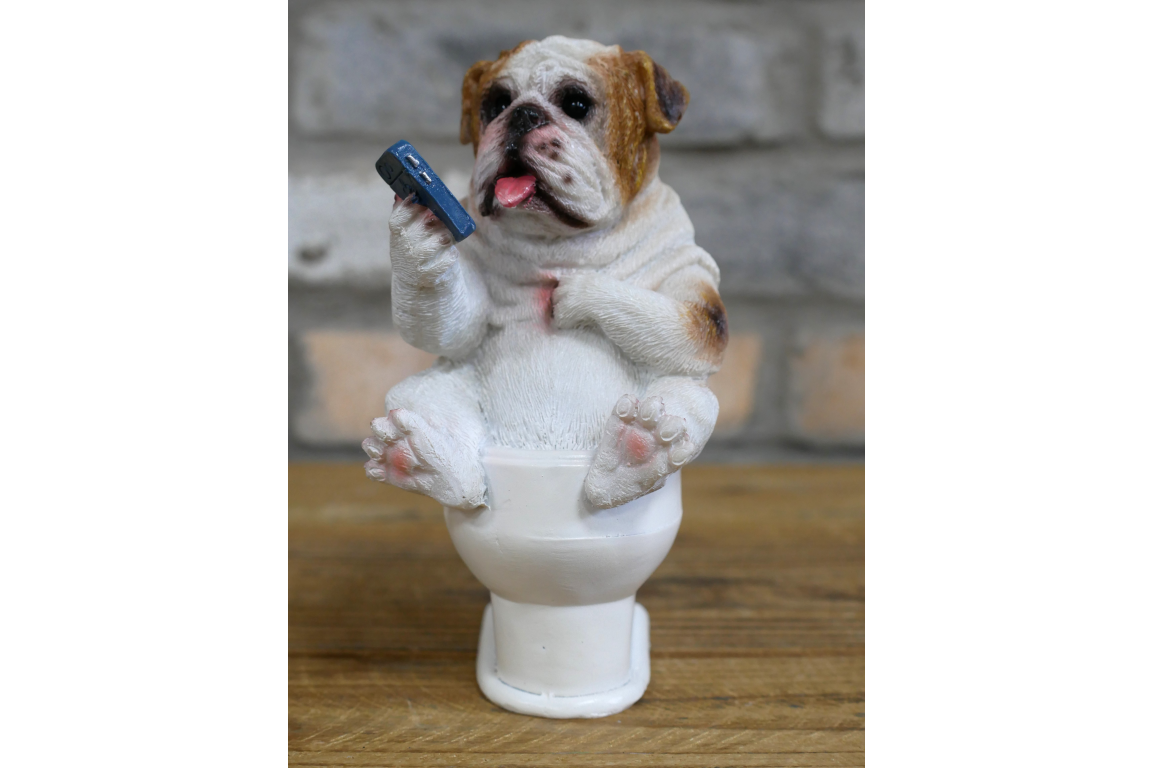 Bulldog on the Loo