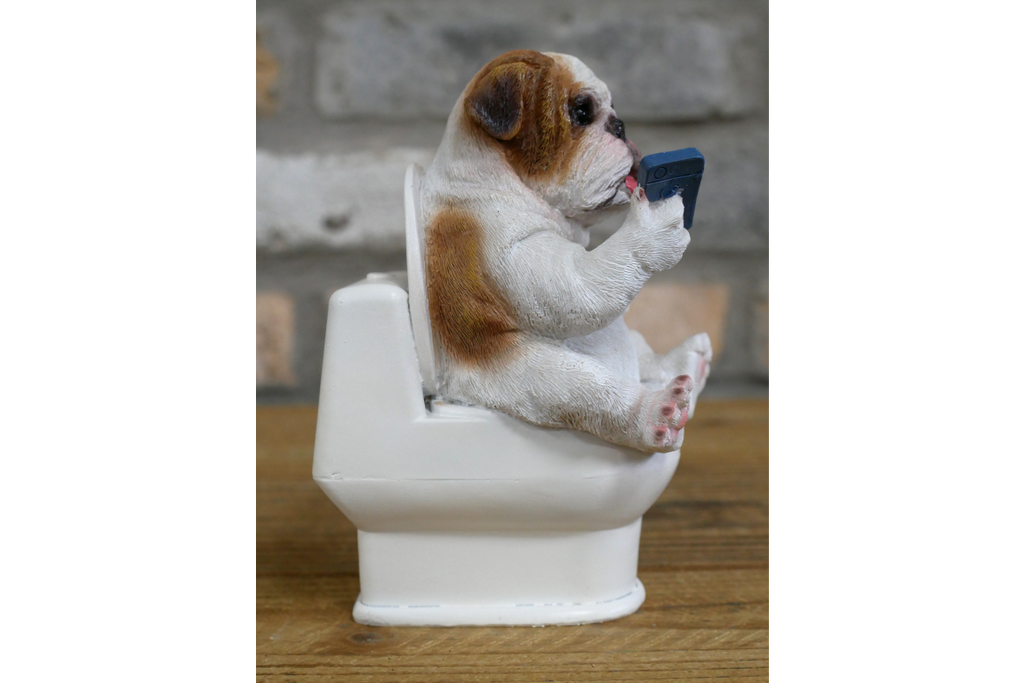 Bulldog on the Loo