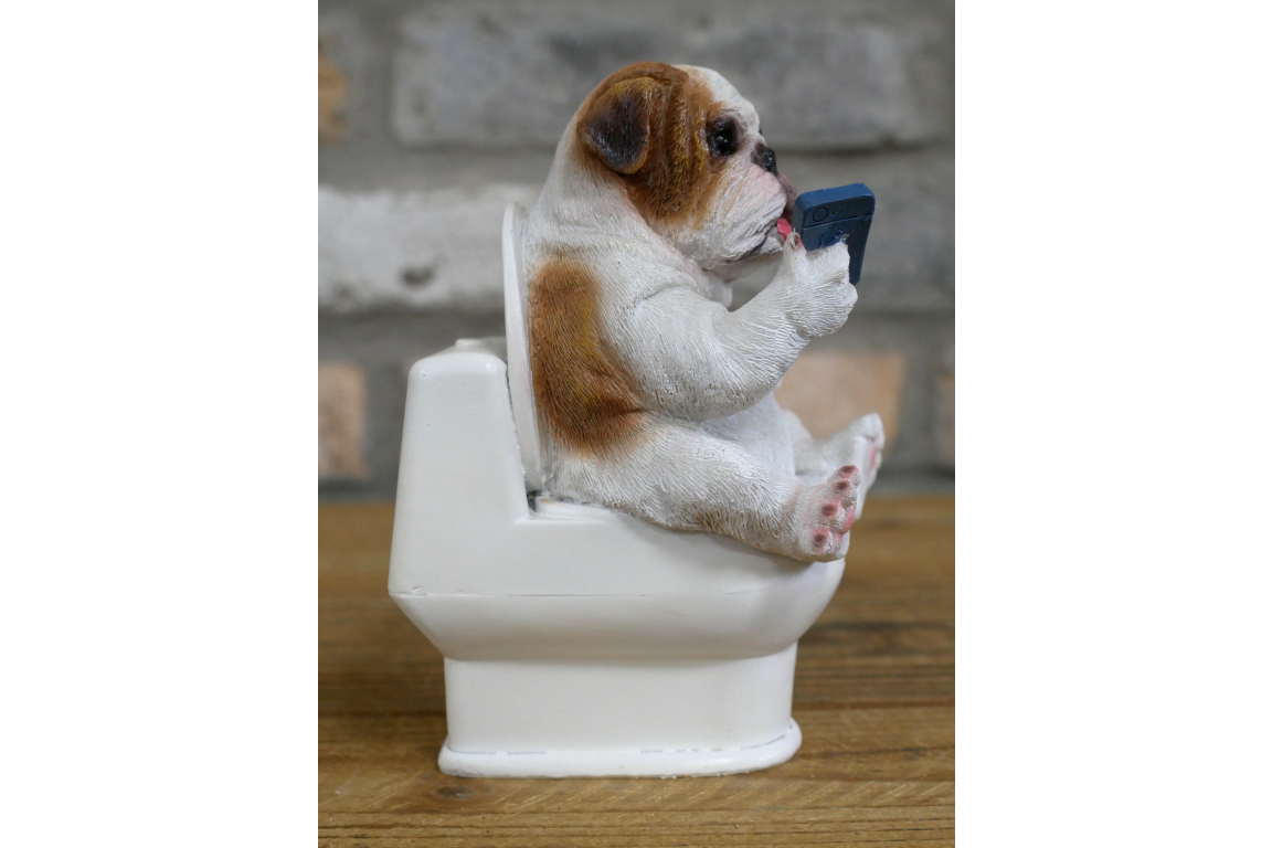 Bulldog on the Loo
