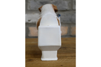 Bulldog on the Loo