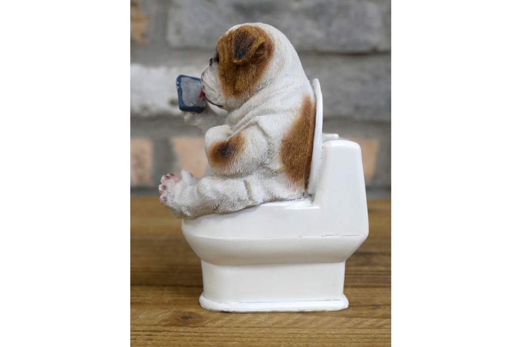 Bulldog on the Loo