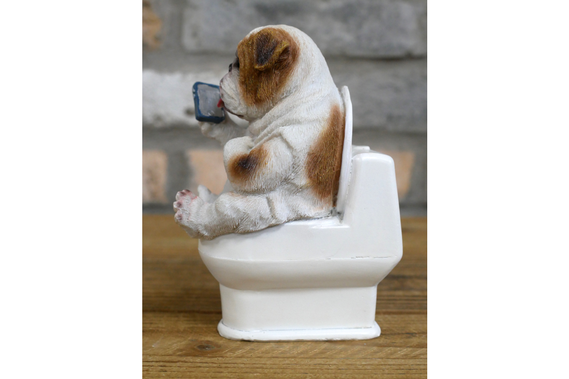 Bulldog on the Loo