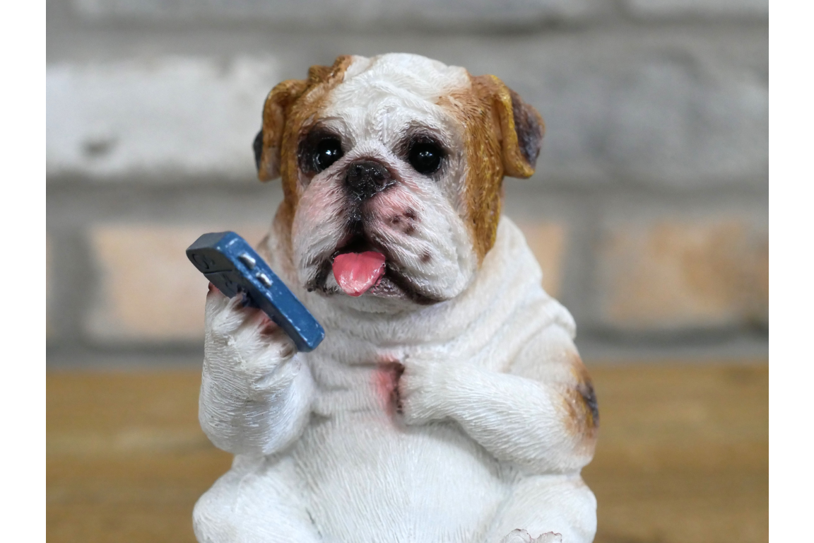 Bulldog on the Loo