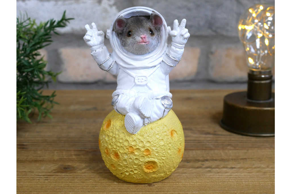 Mouse on the Moon