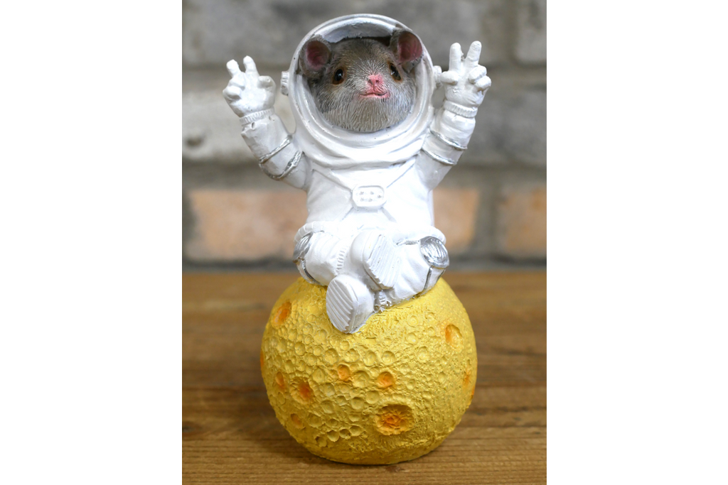 Mouse on the Moon