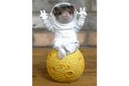 Mouse on the Moon