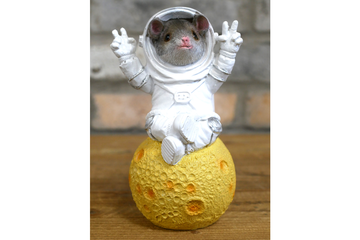 Mouse on the Moon