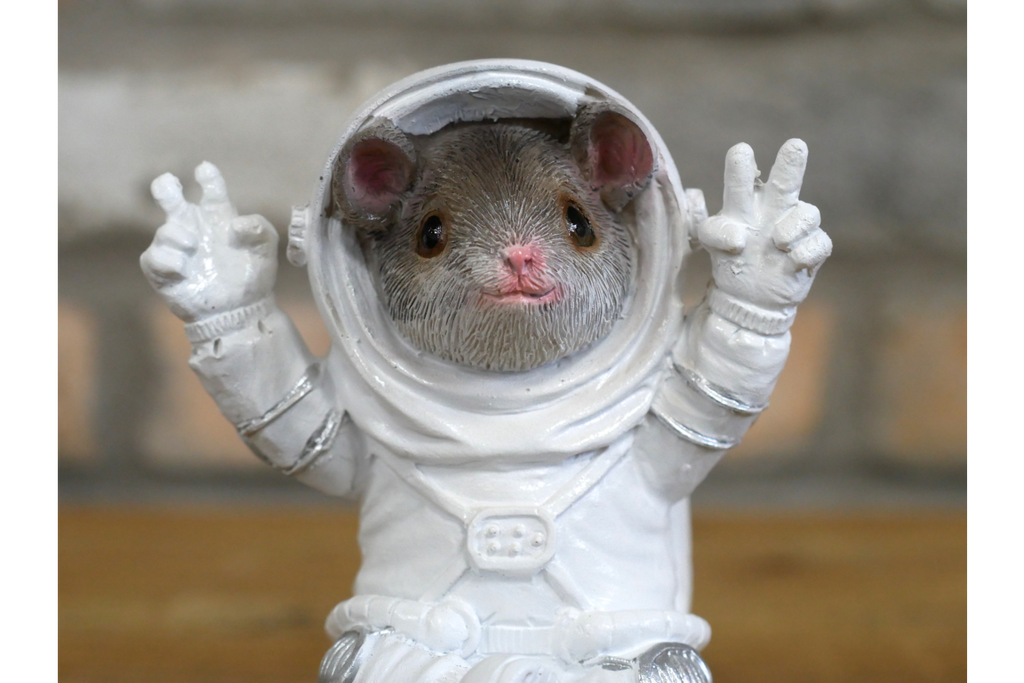 Mouse on the Moon