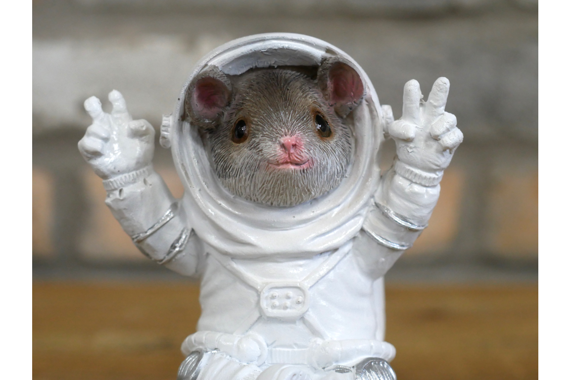 Mouse on the Moon