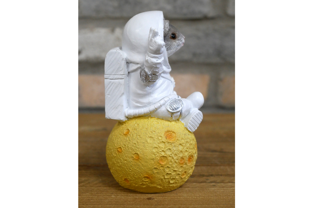 Mouse on the Moon