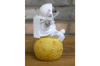 Mouse on the Moon